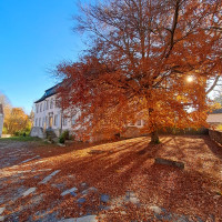 Schloss Erkersreuth